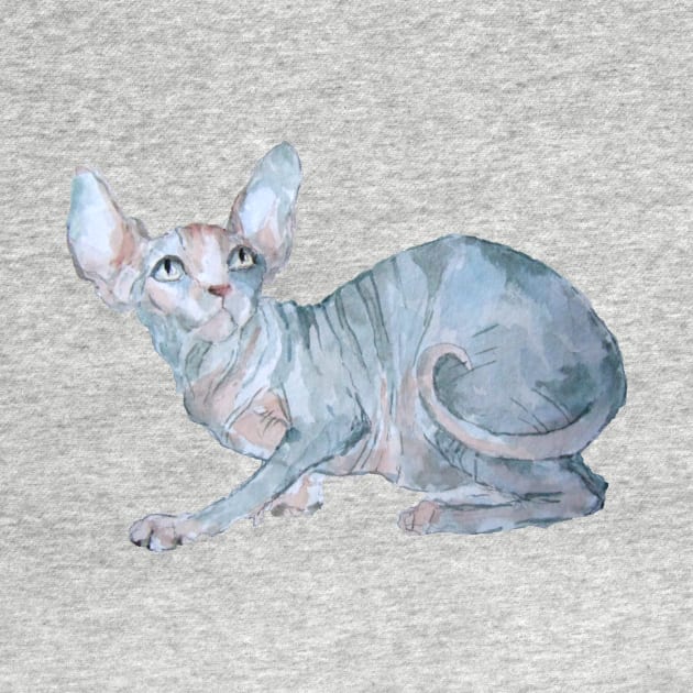 Sphynx cat by Kuhtina